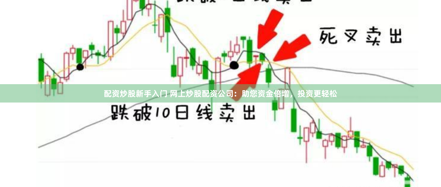 配资炒股新手入门 网上炒股配资公司：助您资金倍增，投资更轻松