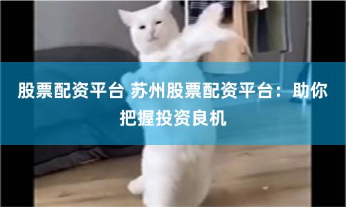 股票配资平台 苏州股票配资平台：助你把握投资良机