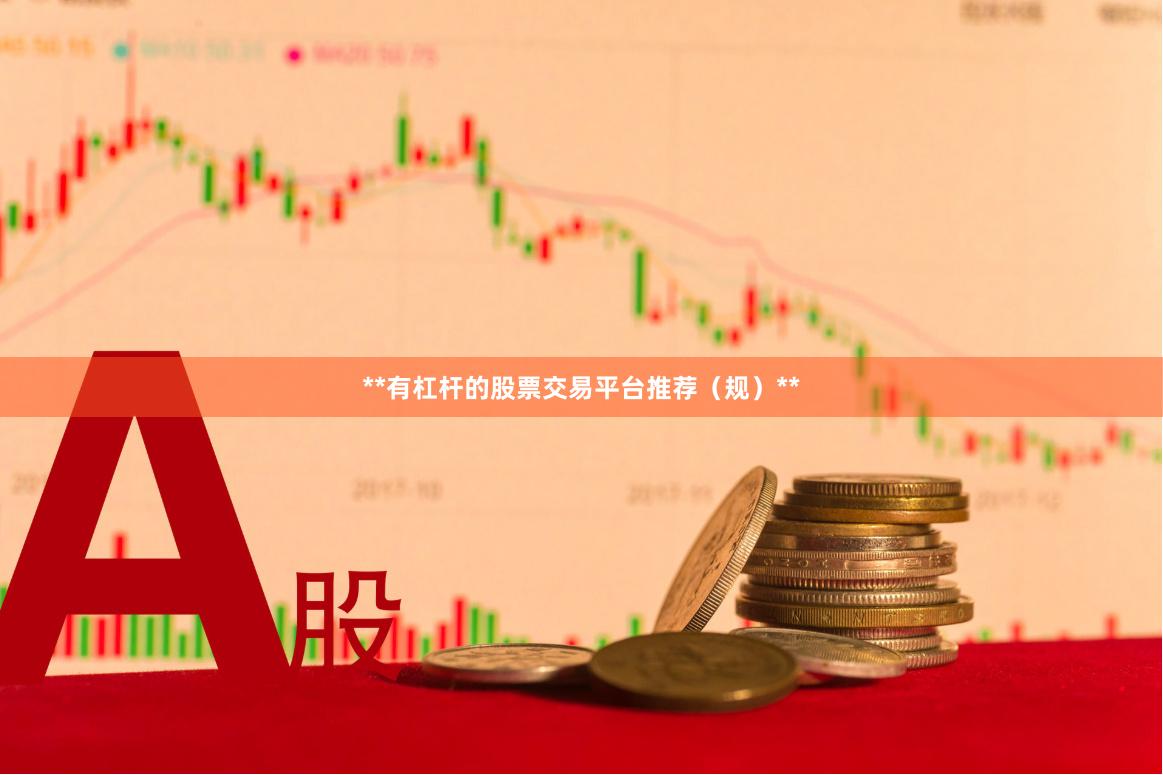 **有杠杆的股票交易平台推荐（规）**
