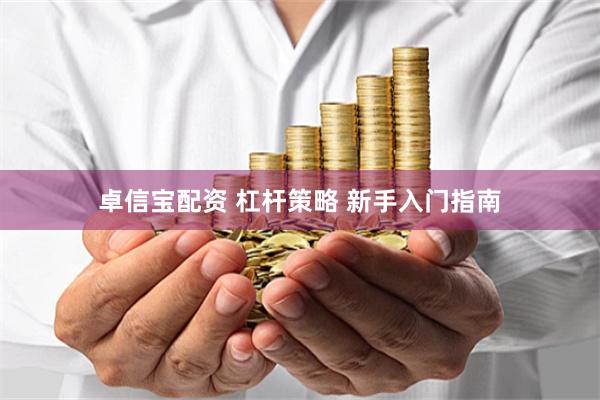 卓信宝配资 杠杆策略 新手入门指南