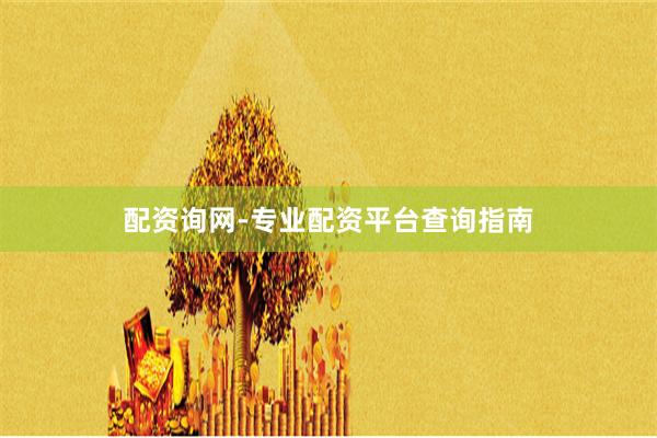配资询网-专业配资平台查询指南